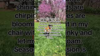 Breaking Free from Winter's Hold #momtok #spring2024