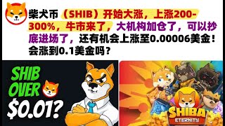 柴犬币（SHIB）开始大涨，上涨200-300%，牛市来了，大机构加仓了，可以抄底进场了，还有机会上涨至0.00006美金！会涨到0.1美金吗？#shib币#柴犬币#屎币行情分析！