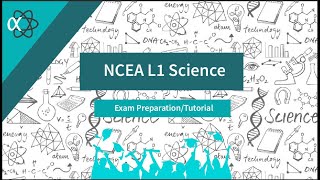 2021 NCEA Level 1 Science Exam preparation PART 2