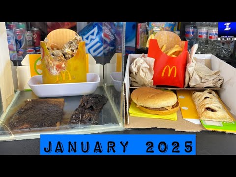 4 and a Half Years Old McDonald’s Food Experiment