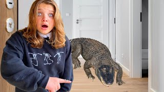 We Found an Alligator Inside Our House?! (What We Did Next)