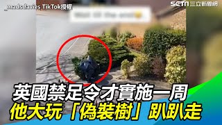 大展忍術！英國禁足令才實施一周…他大玩「偽裝樹」趴趴走｜三立新聞網SETN.com