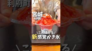【宮城グルメ】これ流行る...新感覚かき氷食べてみた✨#宮城グルメ #利府町 #仙台旅行 #宮城旅行 #仙台観光 #かき氷 #japantravel #japanesefood #shorts