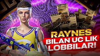 BOLLA HAR 100  TA LAYK UC LOBBY Go