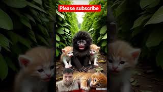 #animals #funny cat 🐈🐈🐈🐈😺😺😺 video Facebook real