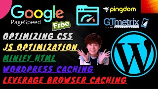 Google Page Speed Monster - Want An Easy Fix For Your WP to Minify Html, Optimizing CSS, Caching