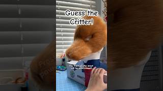 Guess the Critter: Fuzzy Stage! #therian #theriangear #furry #mask #frostyfurs #animalmask
