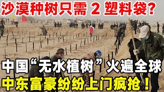 沙漠种树只需2塑料袋？中国“无水植树”火遍全球,中东富豪纷纷上门疯抢!#科普 #建造 #水利工程 #沙漠工程 #超級工程 #中国基建