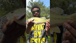 I need a fish rn ! 😳#christianfishing #positivity #lakefishing #springfishing