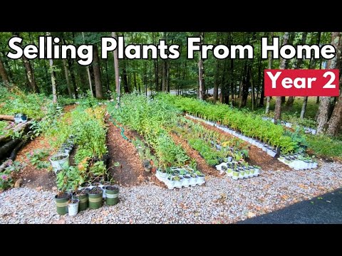 Backyard Plant Nursery Vlog | Year 2 Update | Selling Plants From Home