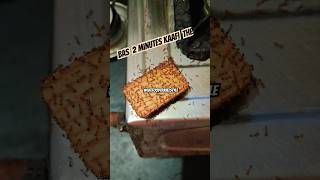Bas 2 Minutes Kaafi The #AntAttack #Ants #Reels #Shorts #MainTeraParle #Parle #ParleG #Biscuit
