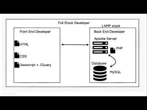 Day 4.1: HTML, CSS, JavasCript, Developer's Fundamentals 2, Developer History