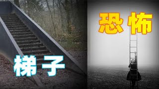 世界各地森林出现诡异的梯子 不要靠近 放置梯子是为了什么