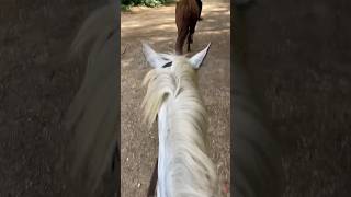 Come on a hack with me and my friend!!