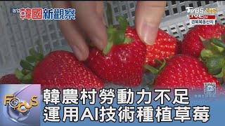 韓農村勞動力不足 運用AI技術種植草莓｜FOCUS午間新聞 20250328 @TVBSNEWS01