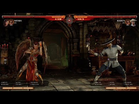 Raiden FB punish