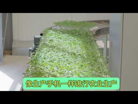 農業自動化是自動化的未來嗎