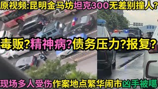原视频:昆明金马坊坦克300无差别撞人?毒贩?精神病?债务压力?报复?|现场多人受伤作案地点繁华闹市凶手被噶|金马坊的枪声