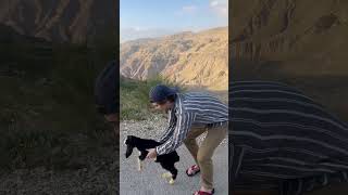 Releasing my goat into the wild
