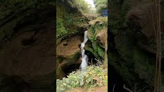 Beautiful Davis Falls, 📷️ me  #nepal #visitnepal #nepalnow #pokhara #davisfalls #nature  #waterfall