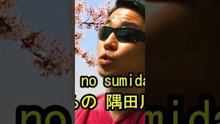花(hana) / 武島羽衣 ＆ 滝廉太郎 / ver. kanji / cover by TETSU
