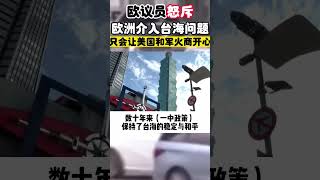 欧议员重申“一个中国”#台海問題 #台湾 #一国两制 #中国