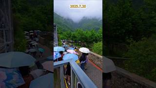 7.20福宝不出来大家依然执着的等候#大熊猫 #大熊猫福宝 #panda #푸바오