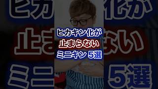ヒカキン化が止まらないミニキン5選