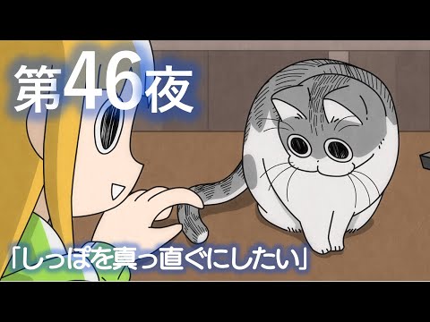 アニメ『夜は猫といっしょ』第46夜「しっぽを真っ直ぐにしたい」