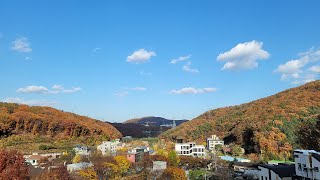 마운틴뷰를 품은 힐링 전원주택 단지, 용인 고기동 타운하우스 분양중