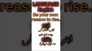Speak Urdu & Pashto in 60 Seconds | Learn Daily English Sentences #youtubeshorts