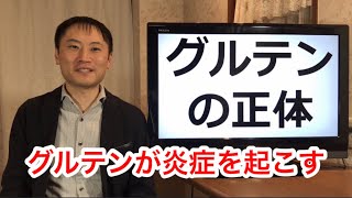 グルテンの正体！なぜ小麦グルテンは炎症を起こすのか【栄養チャンネル信長】