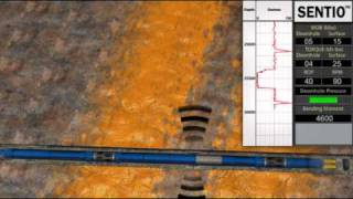 SENTIO Downhole Data Acquisition Tool