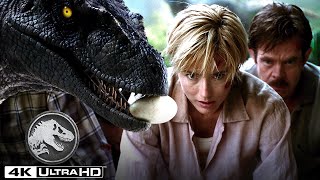 ジュラシック・パークIII | 卵を返して欲しいラプトル(4K HDR)