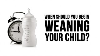 When Should you Wean your Baby?
