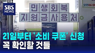 서울시, 21일부터 '민생회복 소비 쿠폰' 1차 신청 / SBS
