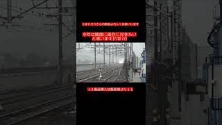 東海道新幹線ってかっこいい😊くまじろうの動画#新幹線 #昭和歌謡 #銀河鉄道999 #東海道新幹線 #鉄博