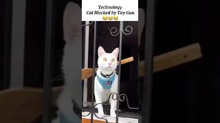 Funny - Cat lover #CatLovers #ILoveMyCat #MyCatIsMyLife #WhiskerLove #FluffyFriend #CatLifeForever