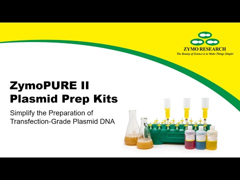 Protocol | Plasmid Purification In Just 20 Minutes