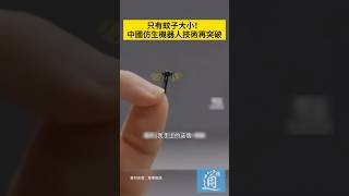 只有蚊子大小！中國仿生機器人技術再突破。#機器人 #AI #仿生機器人