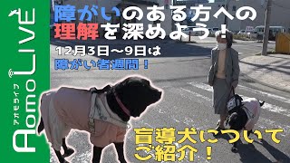 12/3～9は障がい者週間！盲導犬ユーザーの声【AomoLIVE】