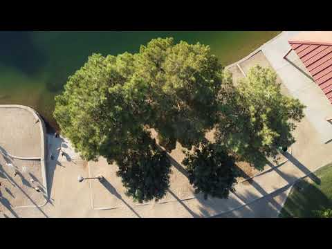 First Day with the DJI Mavic Mini