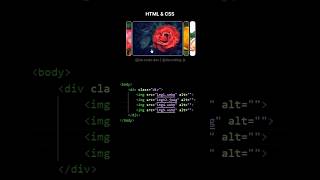 Image Hover Effect using HTML CSS | Pro CSS Tip #shorts #frontend #html5 #skills