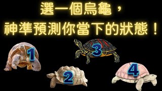 塔羅占卜：選一隻烏龜，神準預測你當下的狀態！