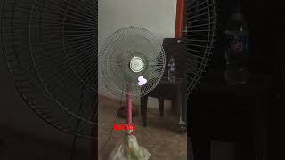 #short#funnyvidio#shortvidio#comedyhub