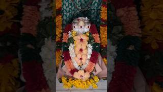 #దత్తాత్రేయ స్వామి🌺🙏గురించి చాగంటి గారి ప్రవచనం.#dattaterya swamy#viral#trending#shorts#youtube