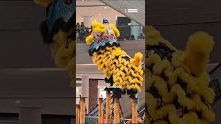 #沙巴山打根忠誠龍獅協會 （弘德）