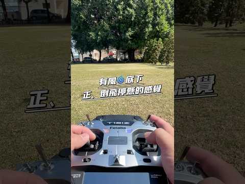 正飛 倒飛 定點停懸練習  螺距 副翼 升降 方向