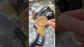 Bu Gerçekten işe Yarıyor, Temizlik Hileleri #cleaning #homelifehacks