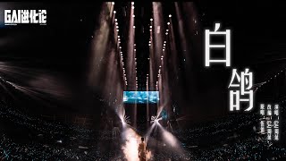 GAI进化论杭州站《白鸽》LIVE